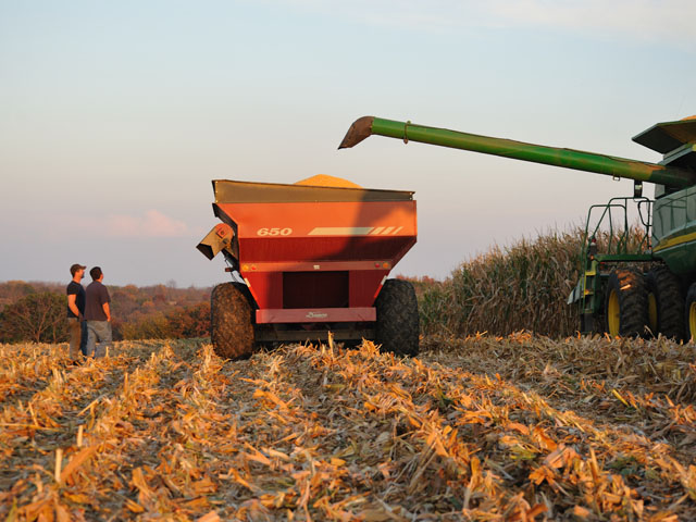 Because farming is a cyclical business, the tax code offers generous rules on loss carrybacks and amending returns for income averaging. (DTN/The Progressive Farmer file photo by Jim Patrico)